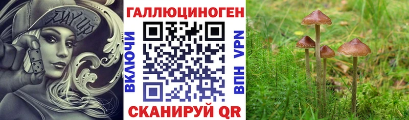 блэк спрут ссылка Бакал Псилоцибиновые грибы ЛСД